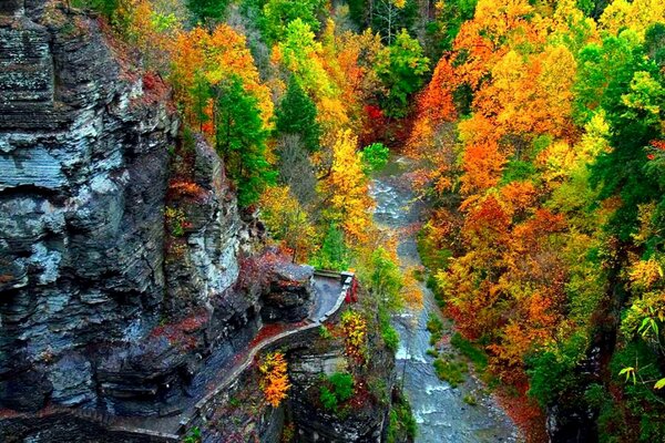 A beautiful landscape in a rocky area with colorful trees