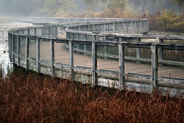 Beau pont de fer sur le lac