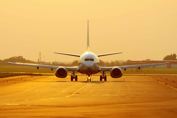 Boeing 737 auf goldenem Sonnenuntergang Hintergrund