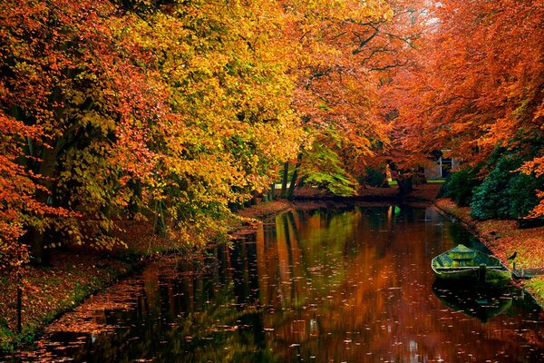 The river along the autumn forest reflects the color of the leaves
