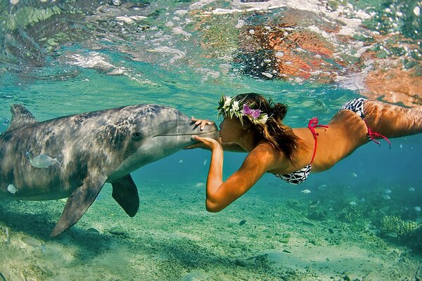 Mädchen küsst einen Delphin unter Wasser