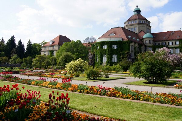 Kolorowy krajobraz ogrodu botanicznego w Niemczech