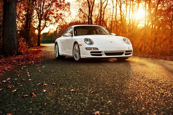 Porsche blanco en el bosque de otoño