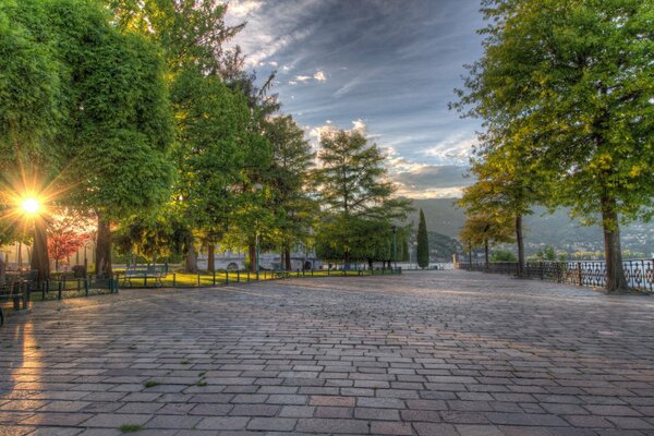 Sunrise through the trees on the cobblestone alley