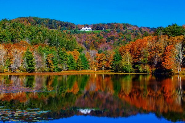 Lago della foresta nei colori autunnali