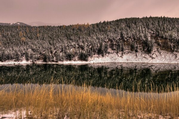 Winter-freezing nature by a clean river