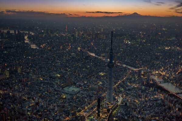 Der Tokyo Tower und der Berg in der Nachtstadt