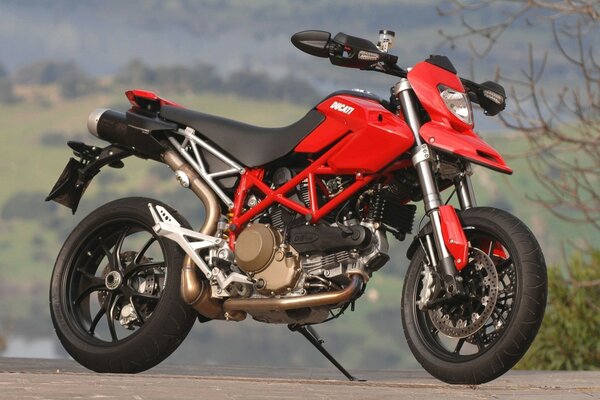 Ducati moto rouge dans la nature