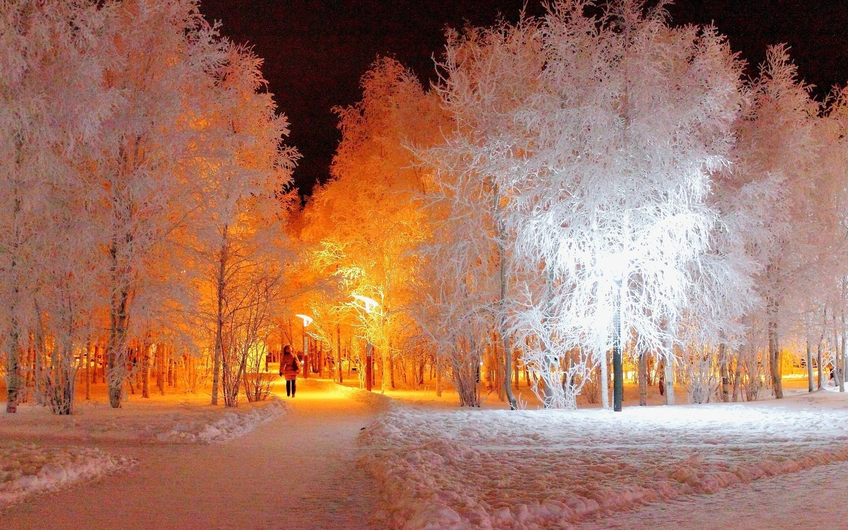 arbres nuit givre hiver parc lanterne soirée ruelle fille