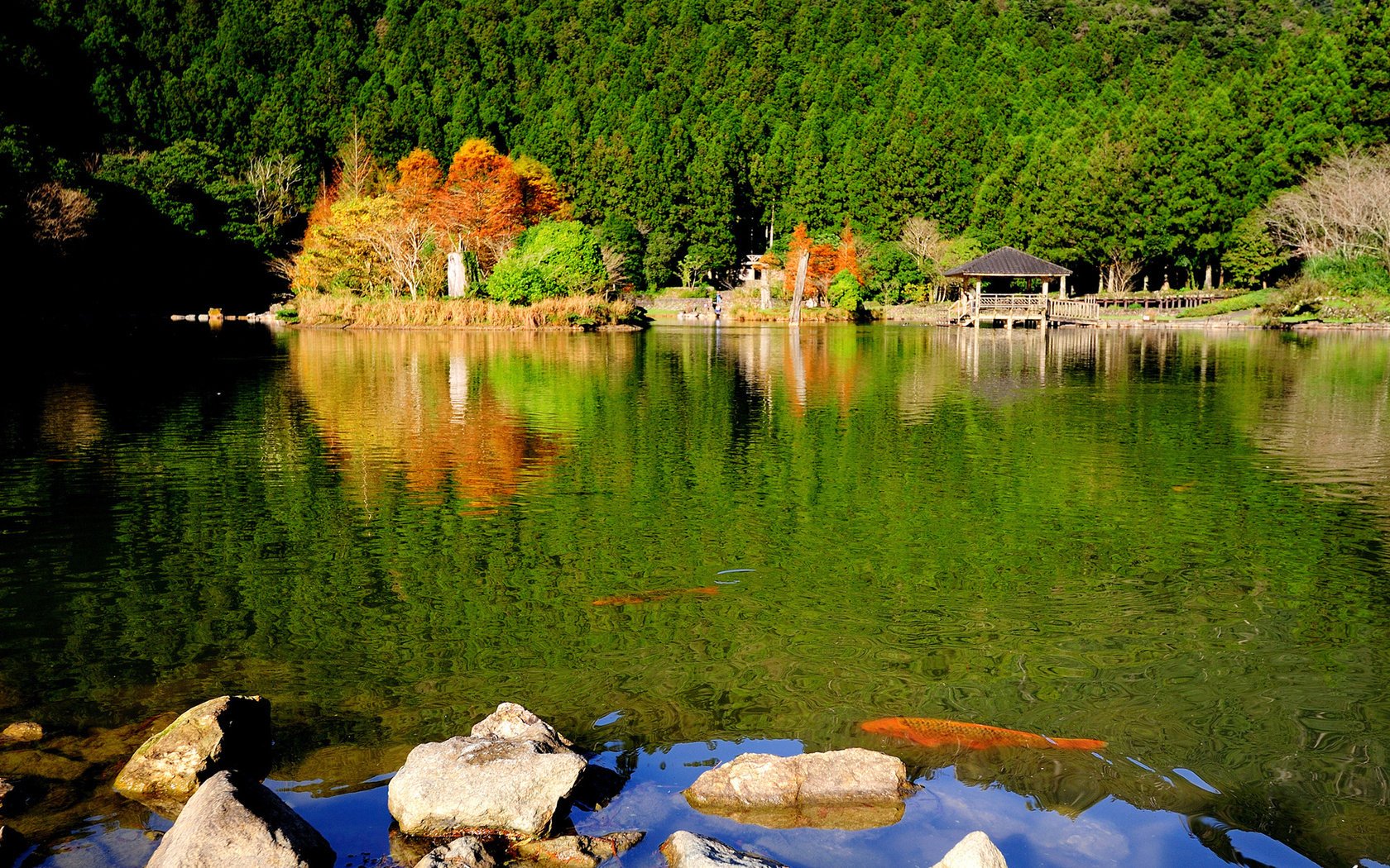 park jezioro przyroda skały las