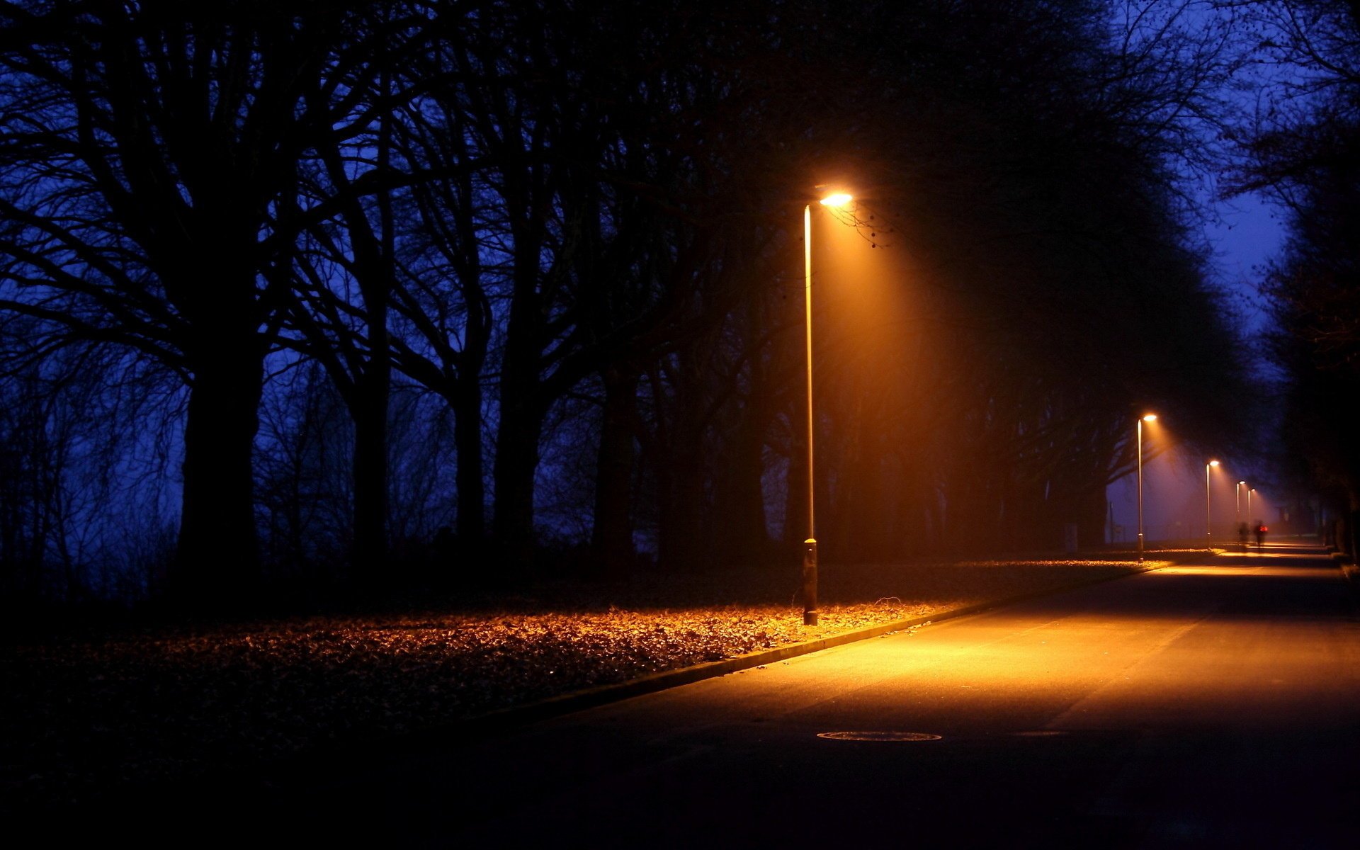 parque noche ciudad