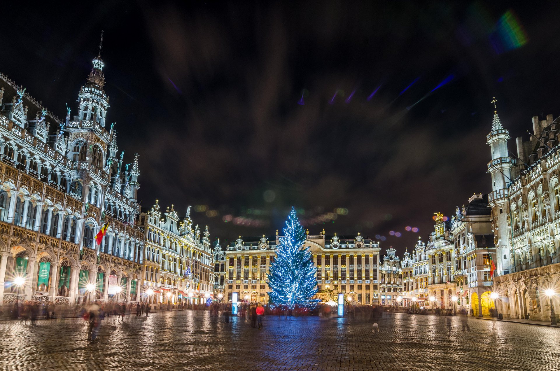 belgique bruxelles grand place arbre de noël noël nuit lumières