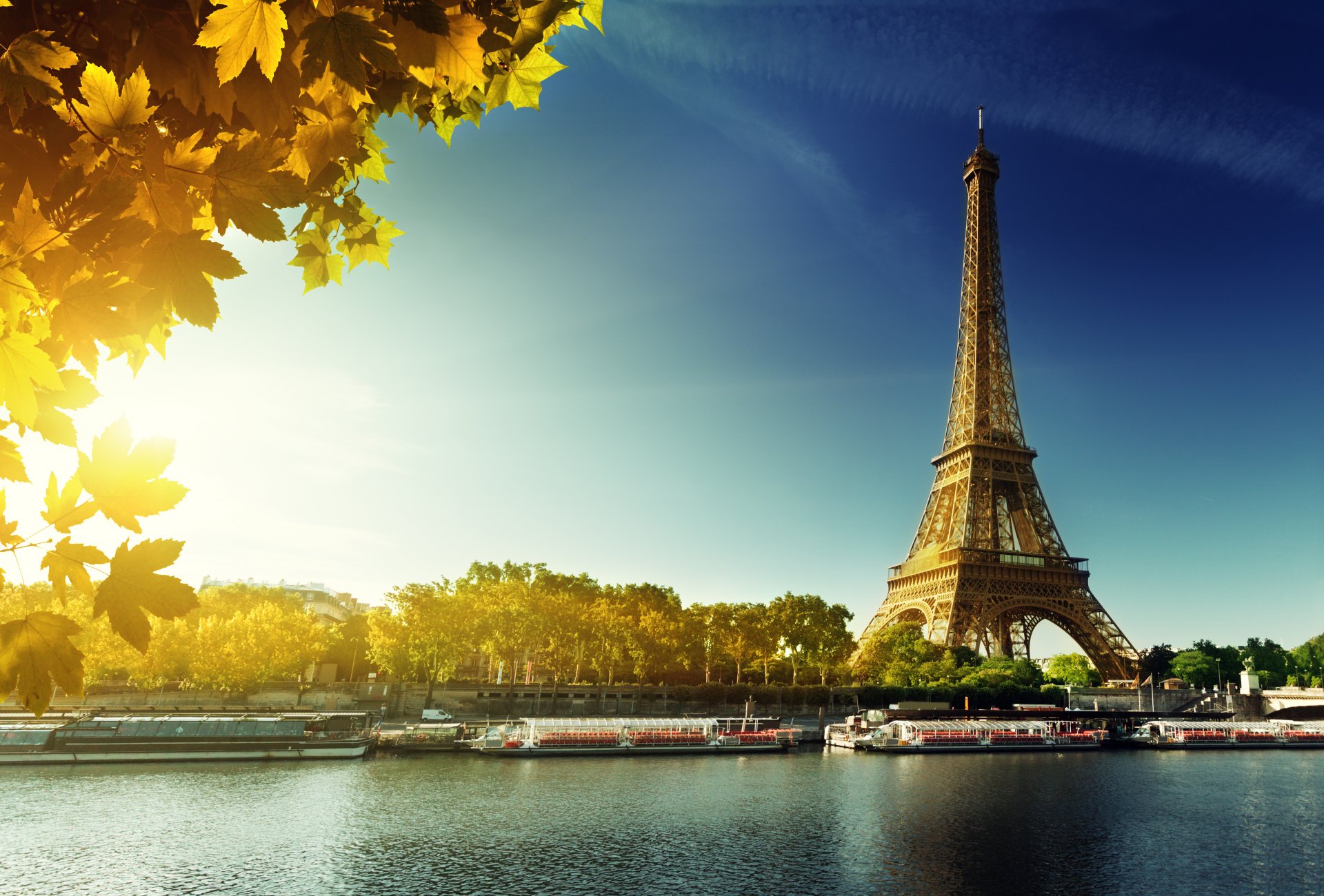 paris eiffel tower france autumn leave