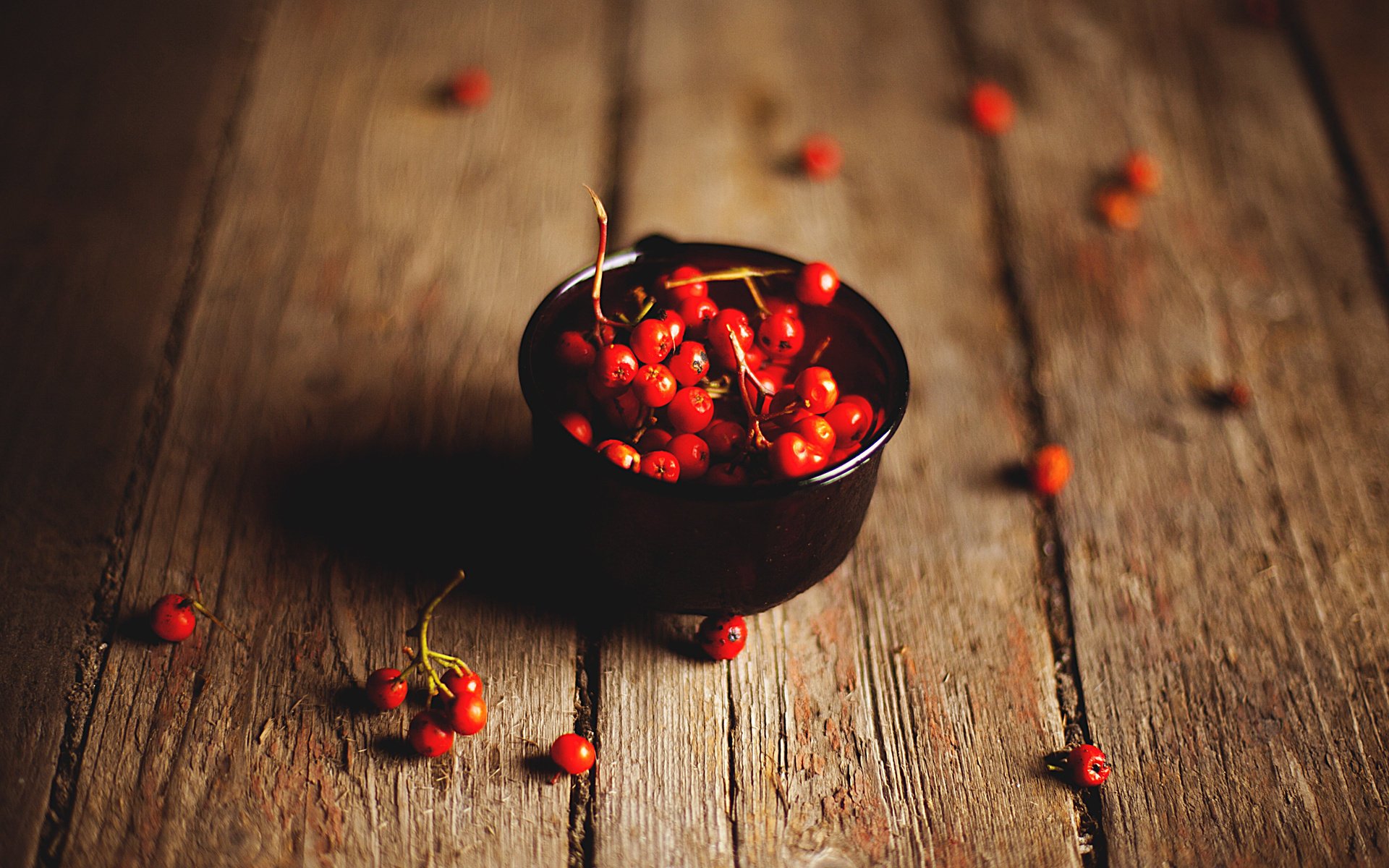 berry still life