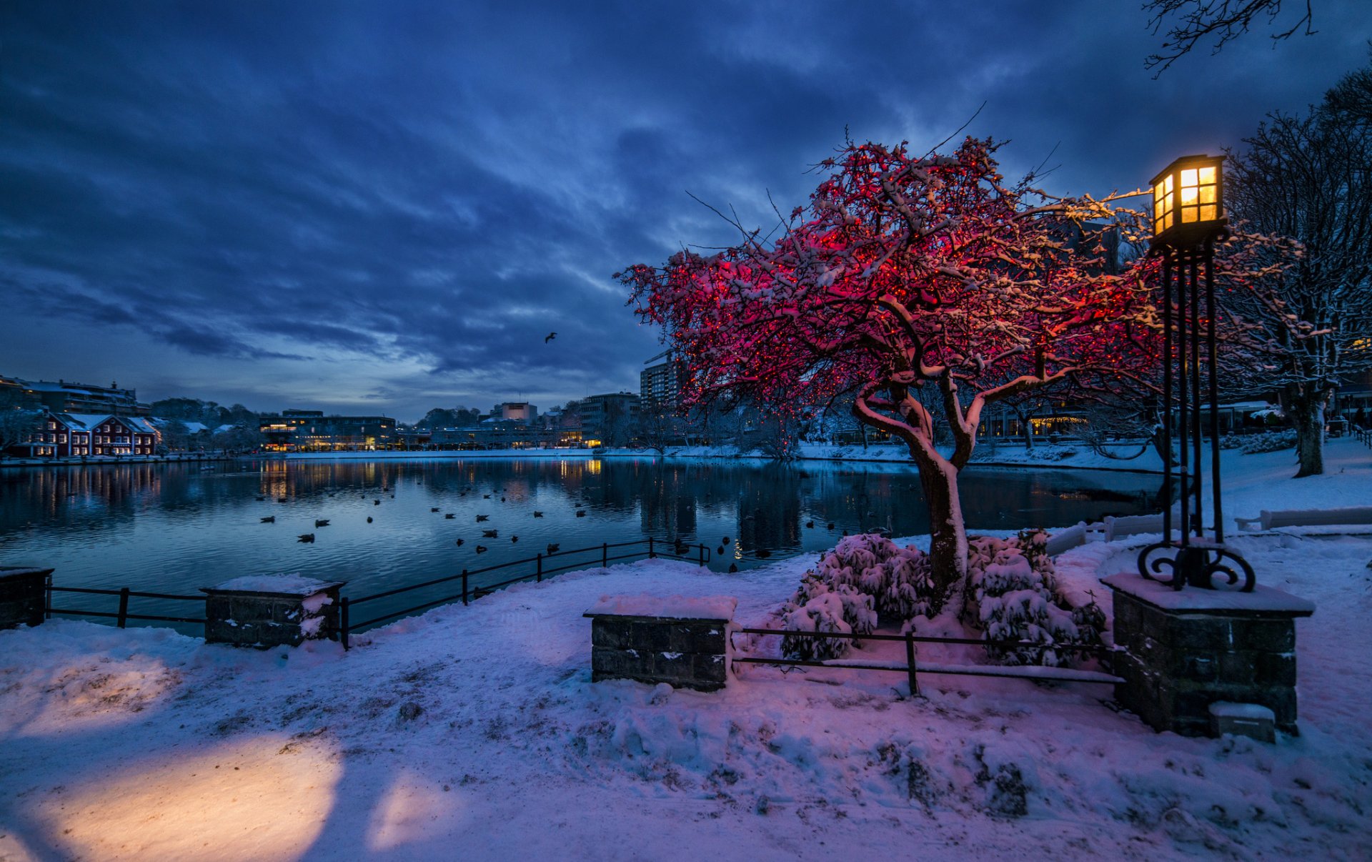 norwegen rugaland stavanger winter schnee abenddämmerung lichter laterne