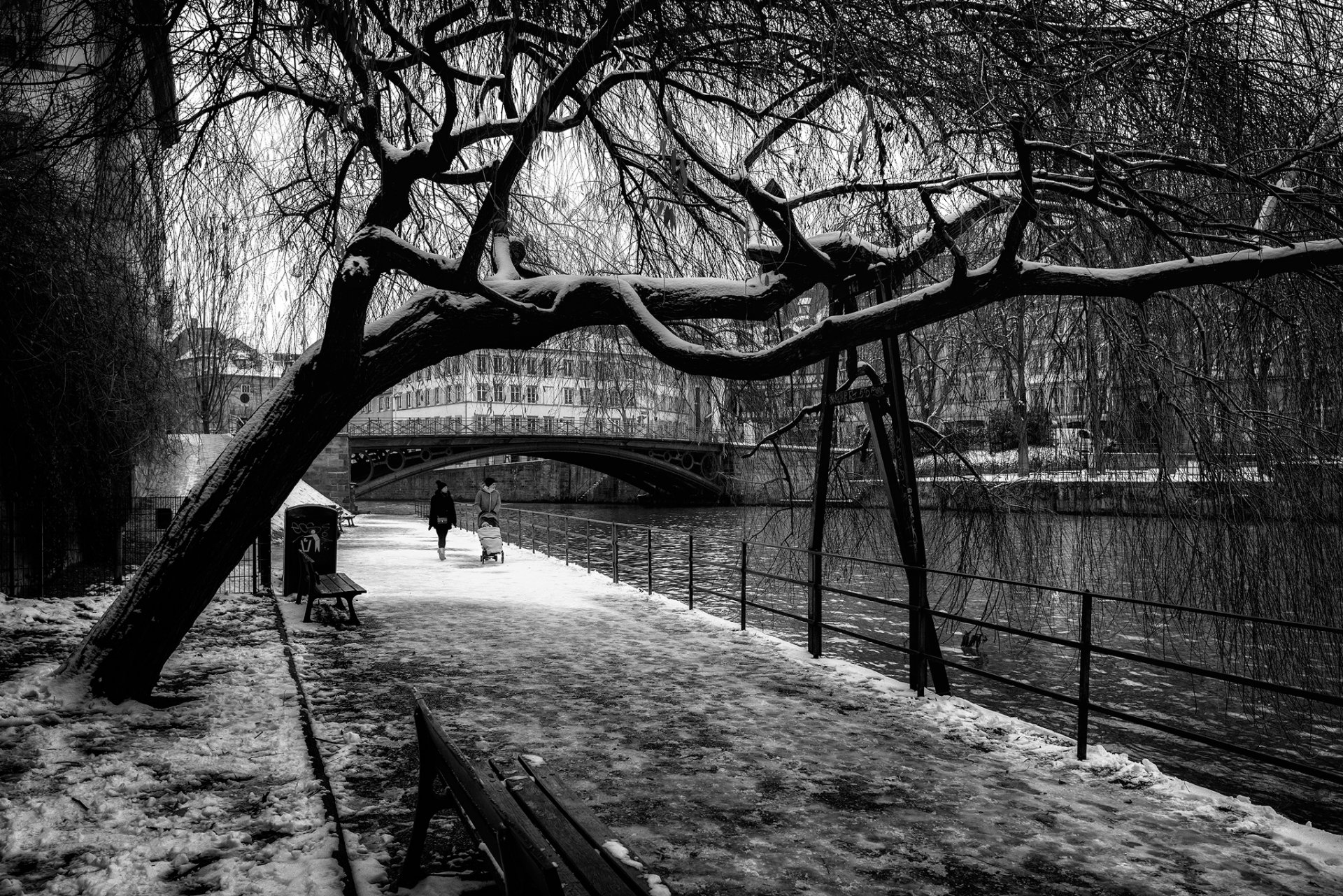 estrasburgo francia nieve transeúntes bb