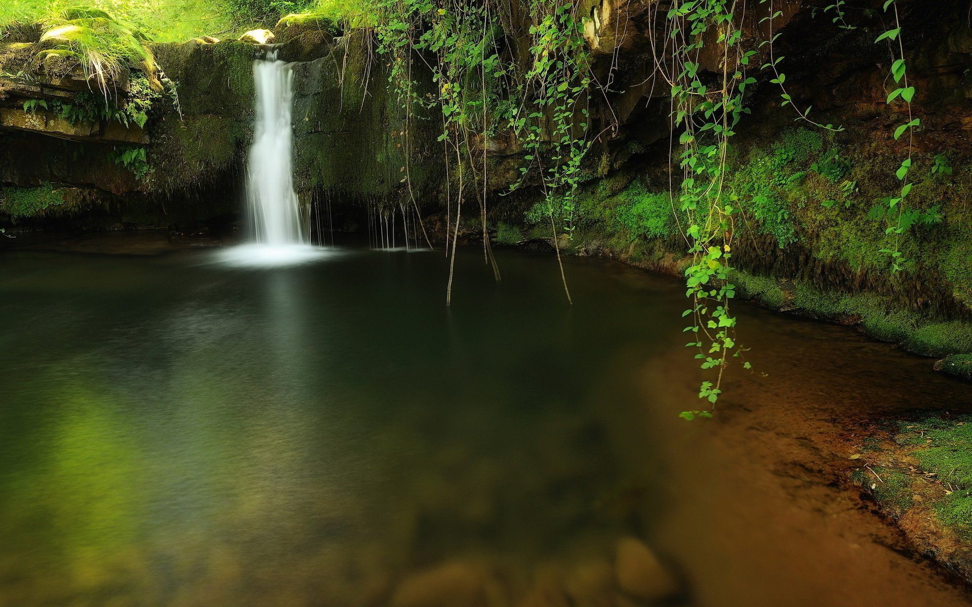 foresta cascata ruscello natura