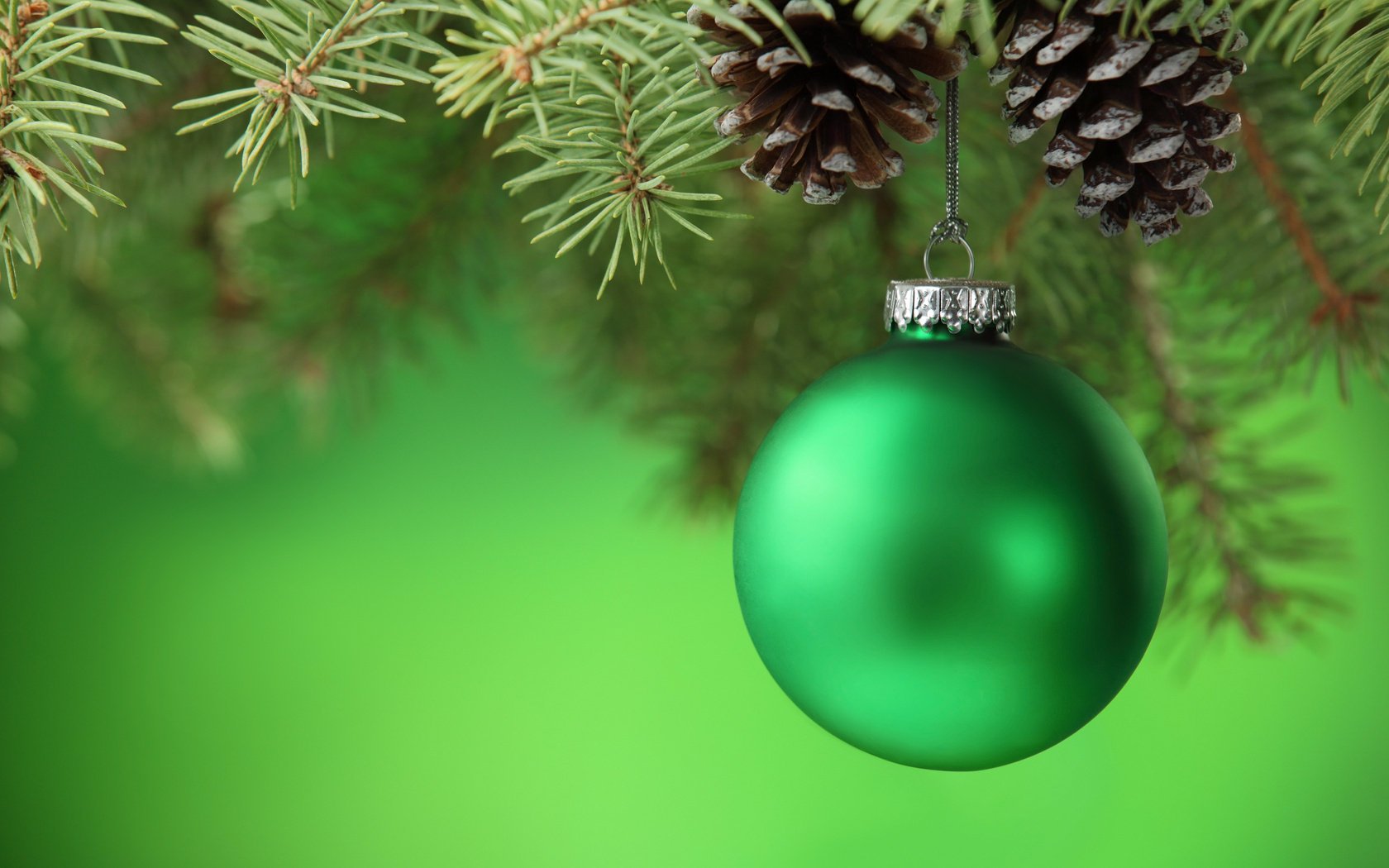 arbre de noël boule cônes vert branche boule