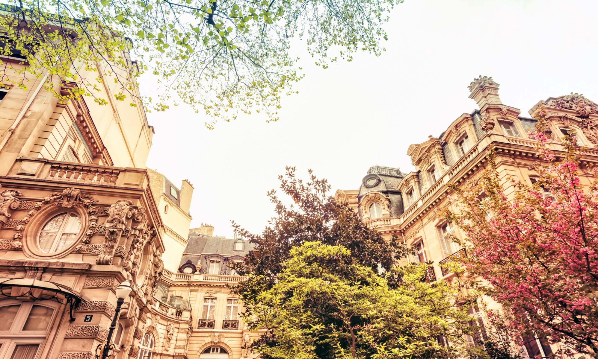 parigi francia città primavera fioritura alberi case edifici architettura natura