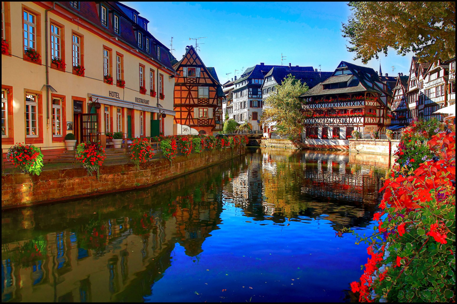 straßburg straßburg frankreich fluss ile ufer uferpromenade blumen zuhause hotel reflexion