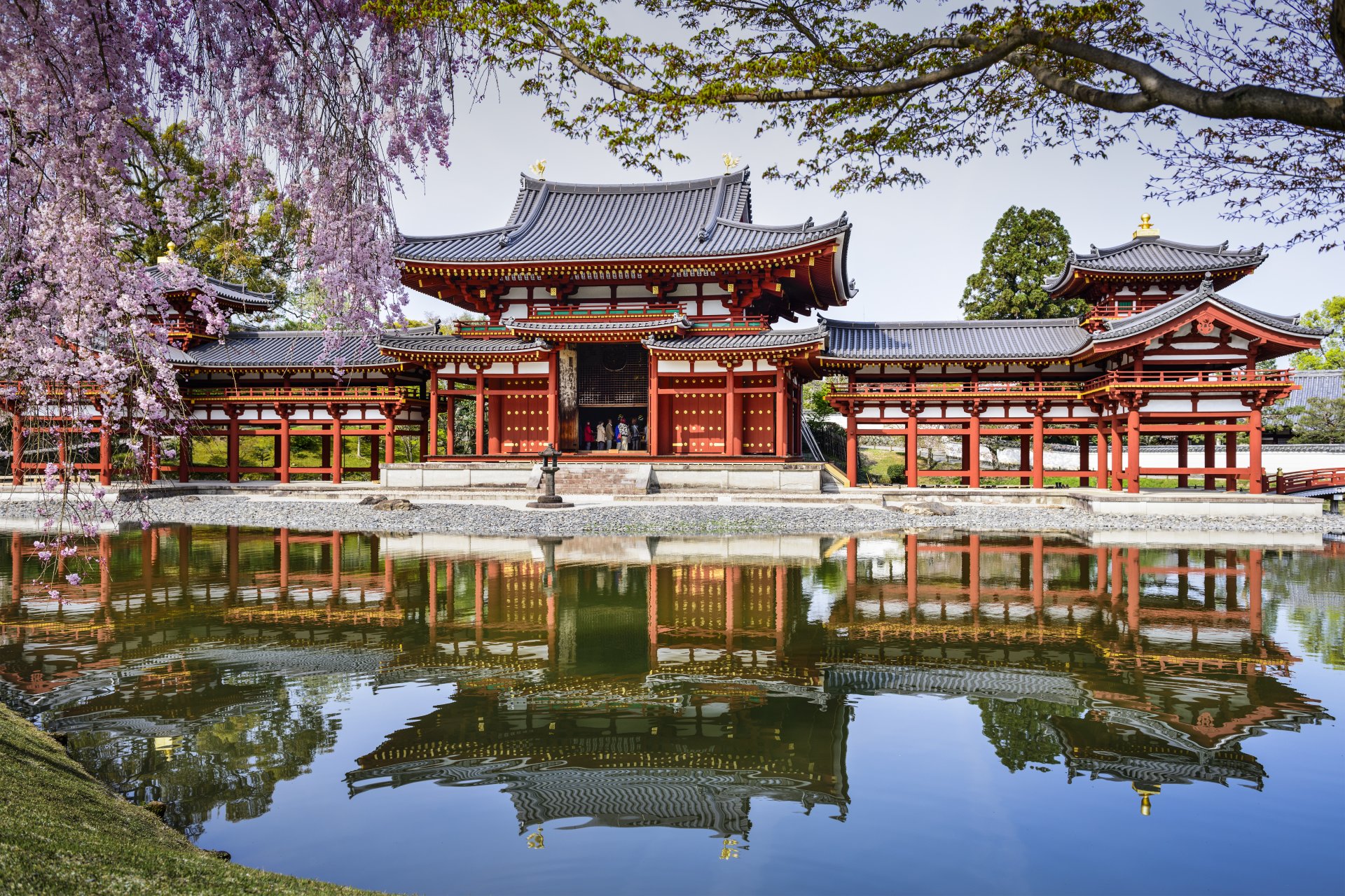 byodo-nel tempio uji giappone tempio bedo-in stagno riflessione primavera sakura