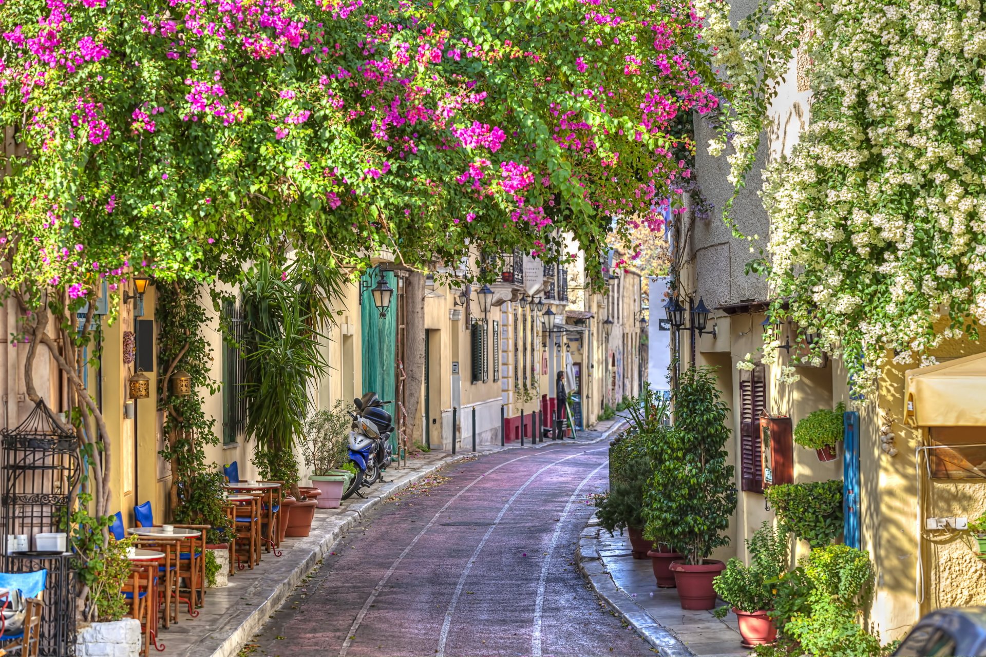 greece hdr flower plants road street beauty