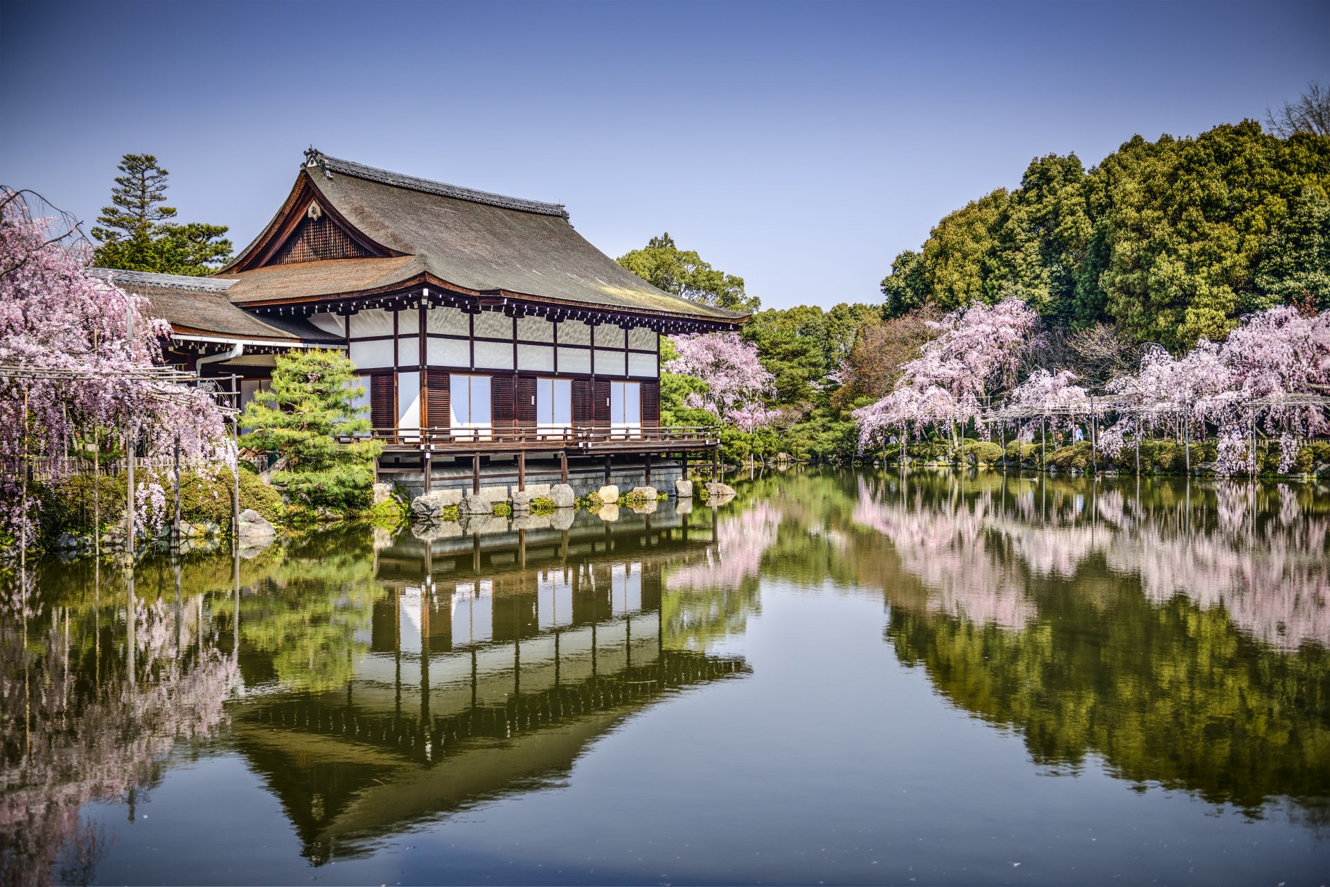 heian jingu kyoto japon heian temple kyoto lac étang printemps parc arbres sakura réflexion