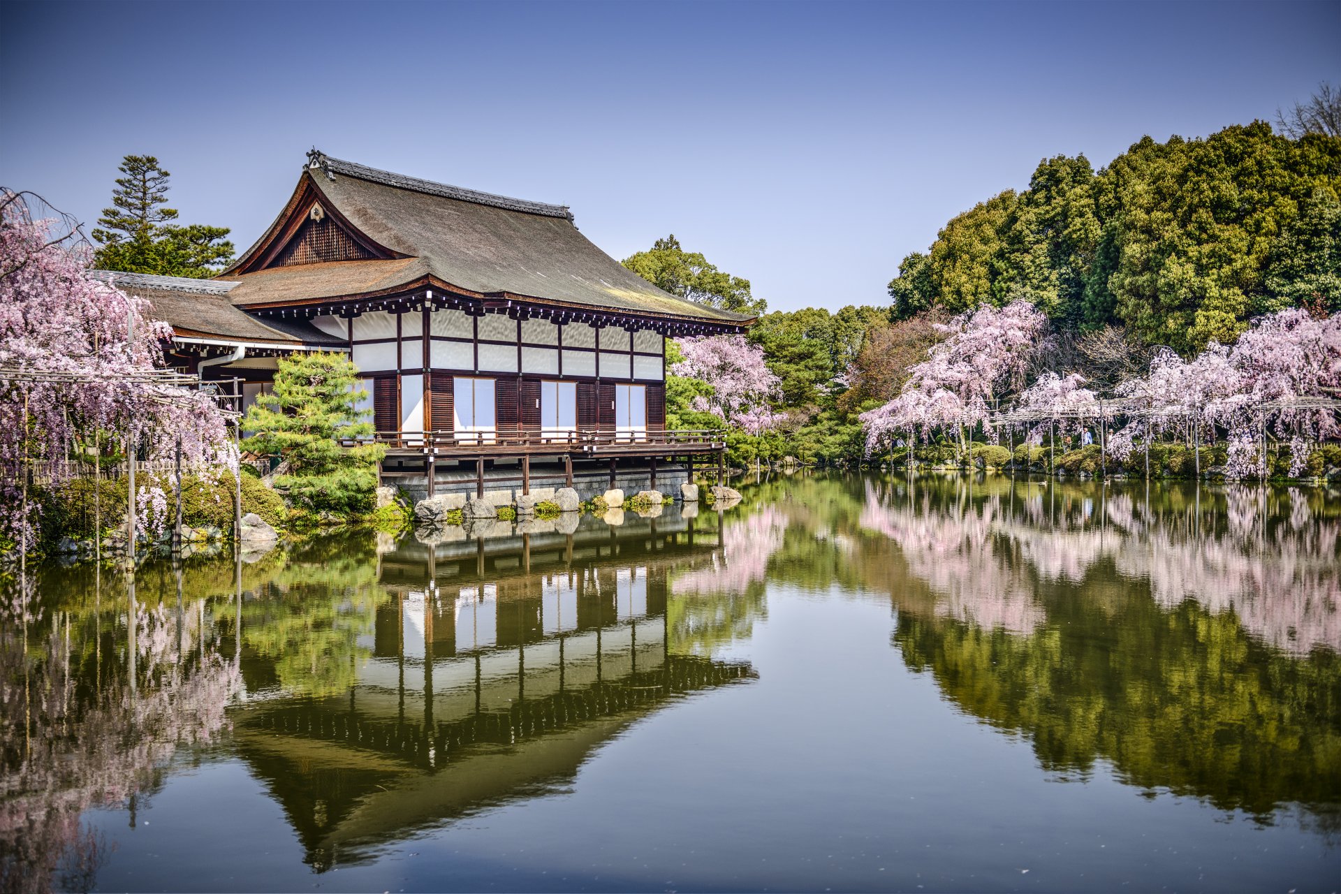 Киото храм Сакура