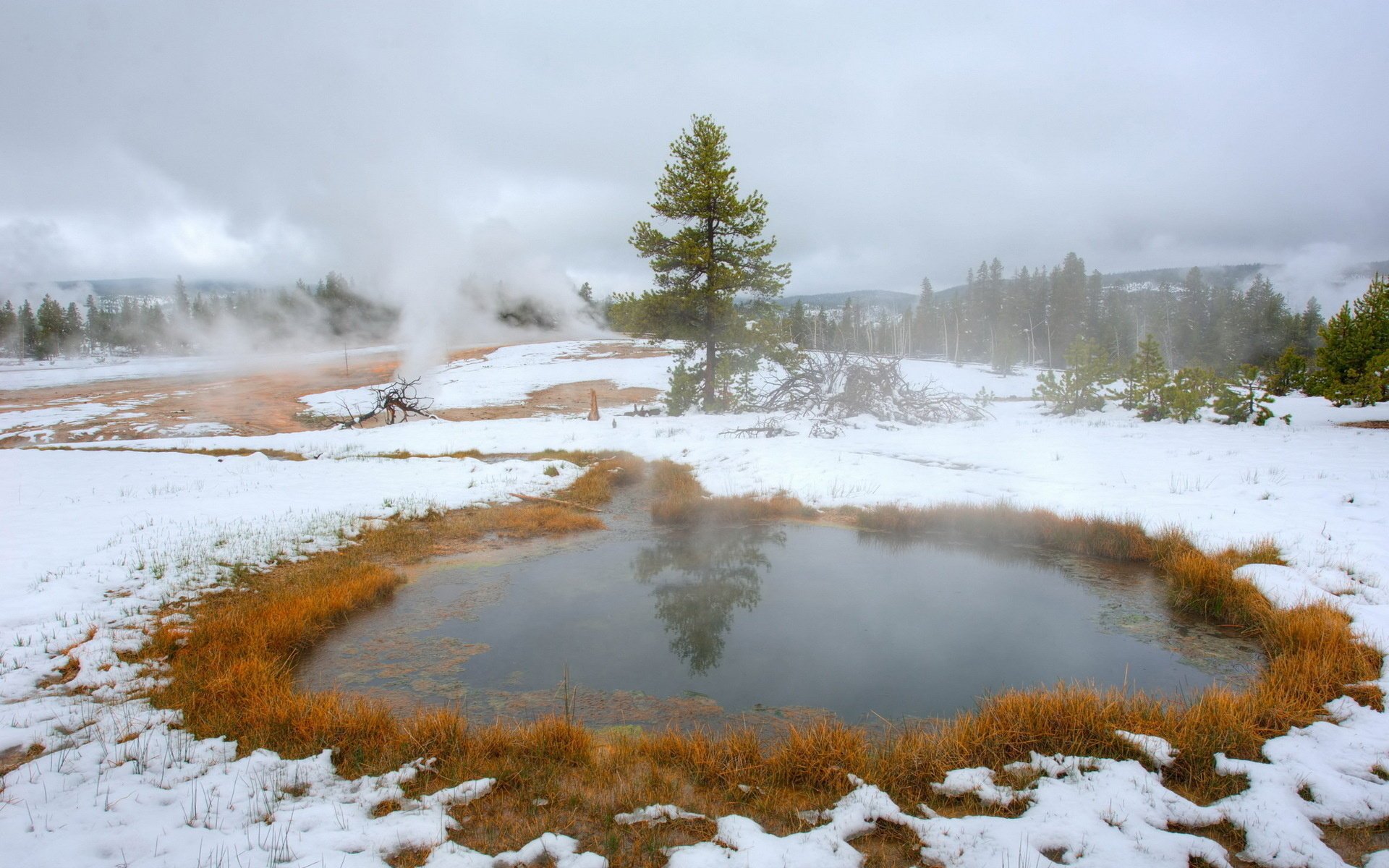 autunno neve natura paesaggio