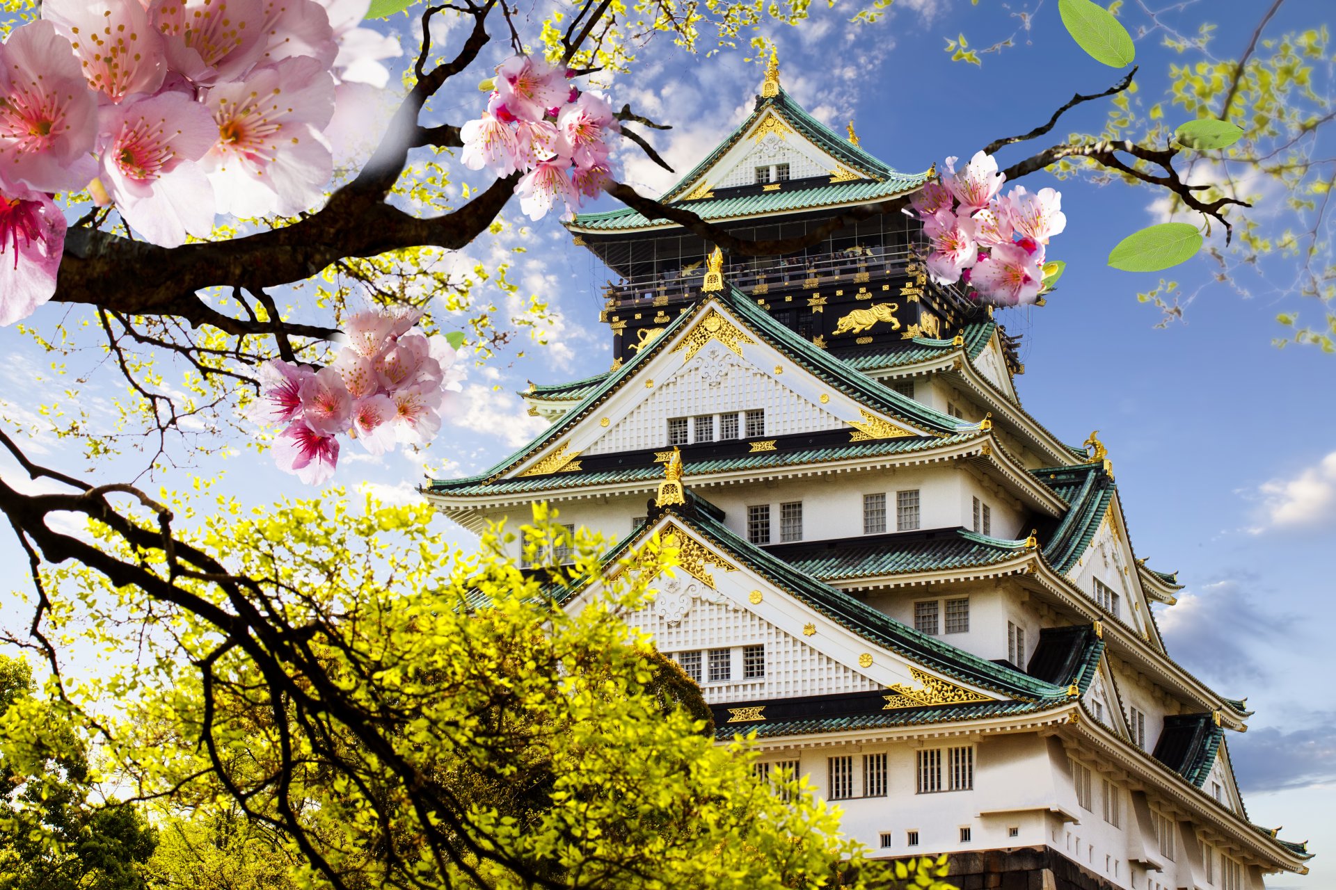 castillo japonés japonés japón sakura floración