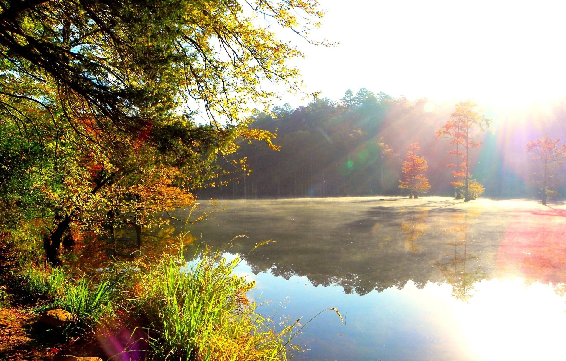 fluss natur dunst wald sonne morgen strahlen ufer