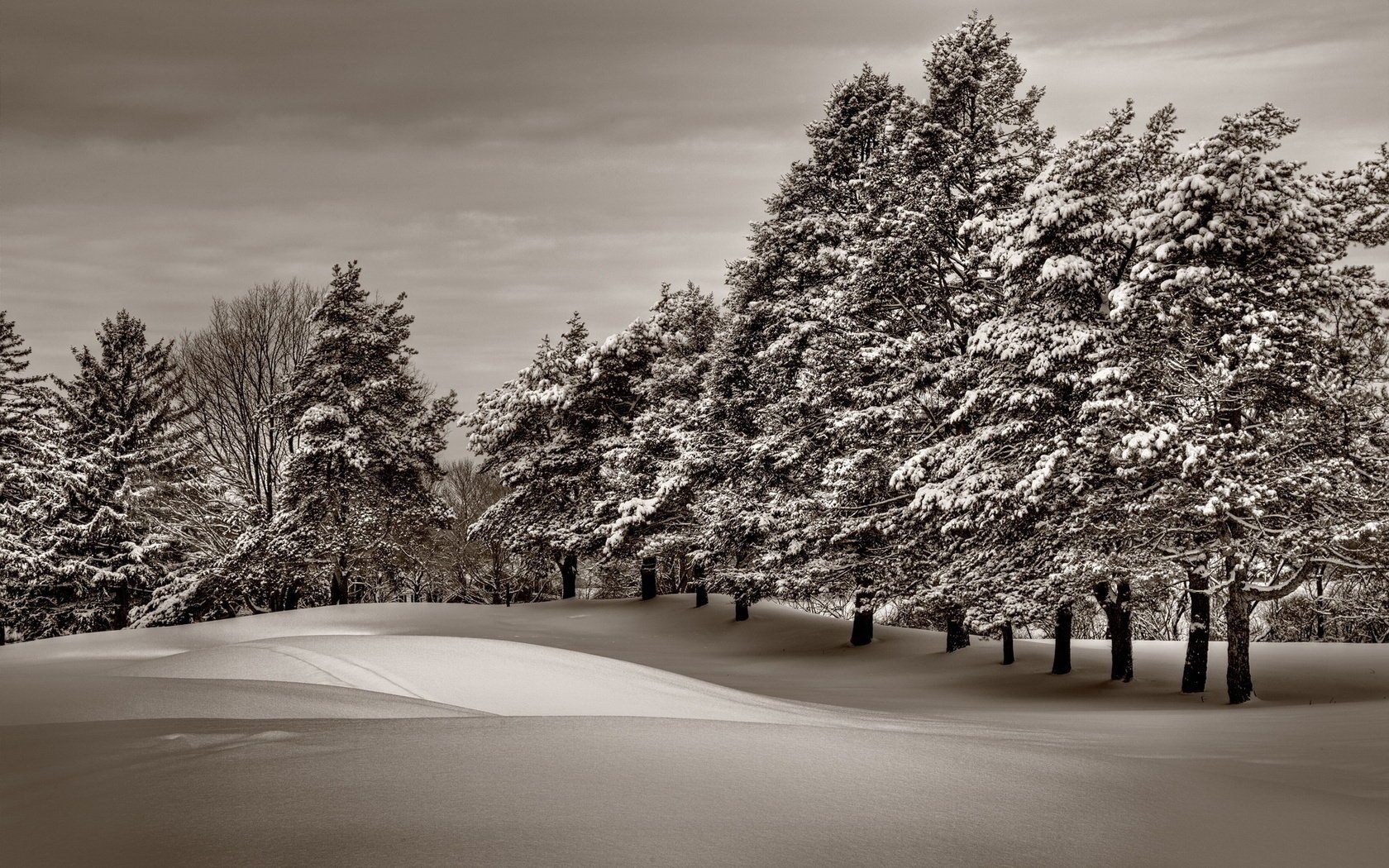 paysage d hiver hiver neige