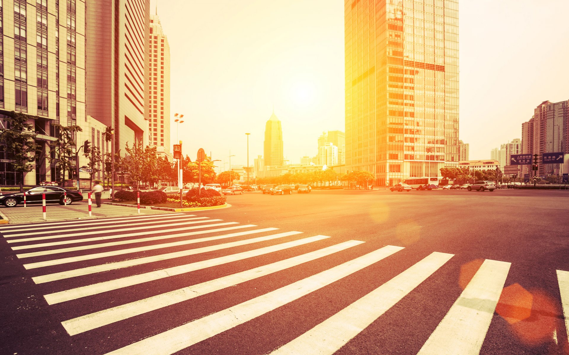 city america usa states street streets road houses cars cars people pedestrians life light sun morning buildings skyscrapers signs zebra trees on the street