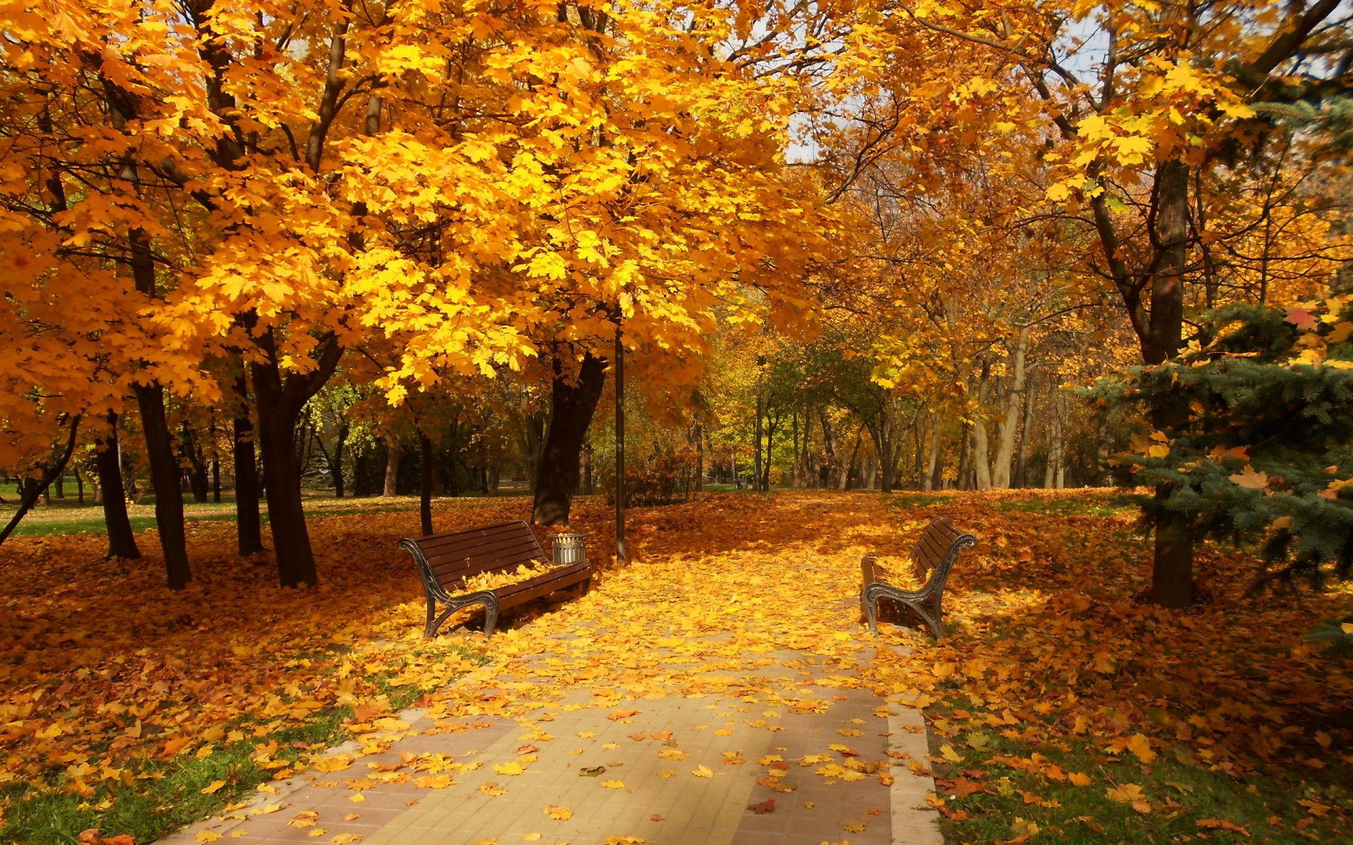 town park autumn