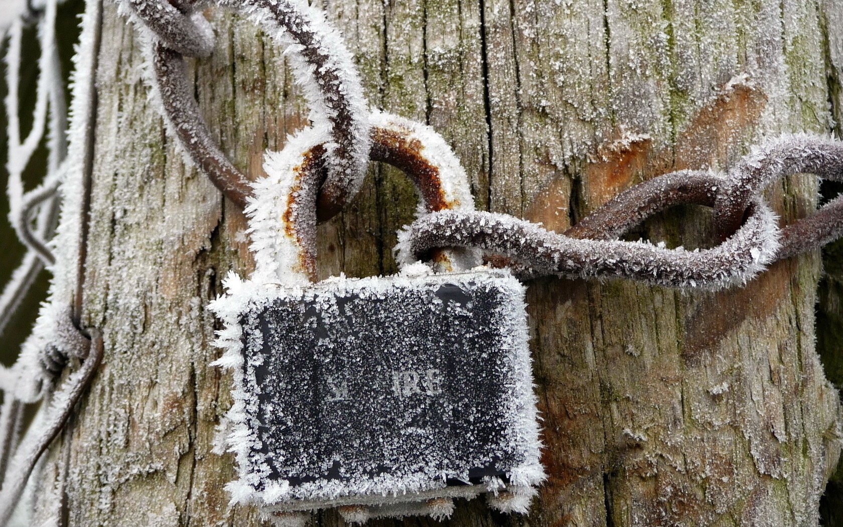 givre gros plan château