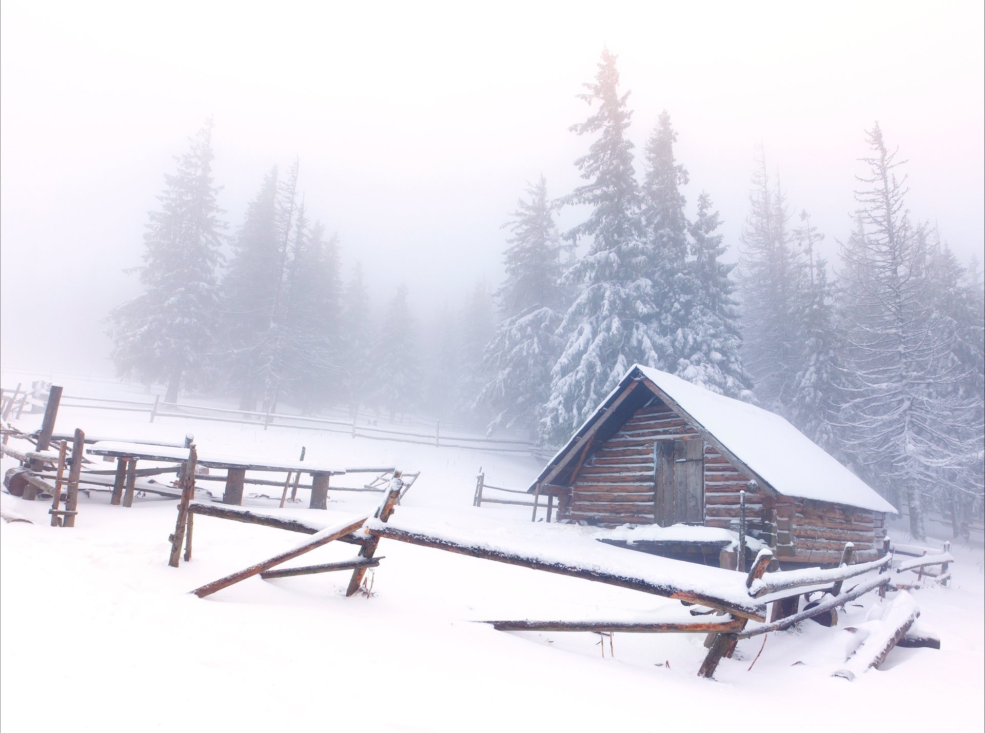 casa inverno neve alberi di natale