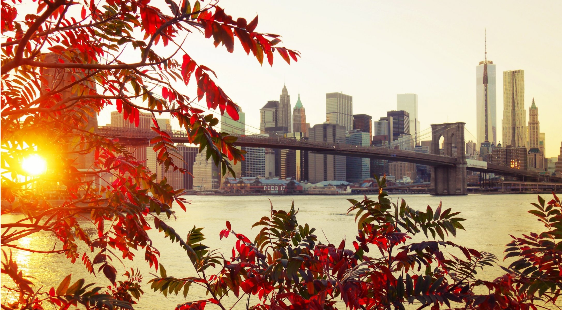 new york brooklyn ville pont automne feuilles