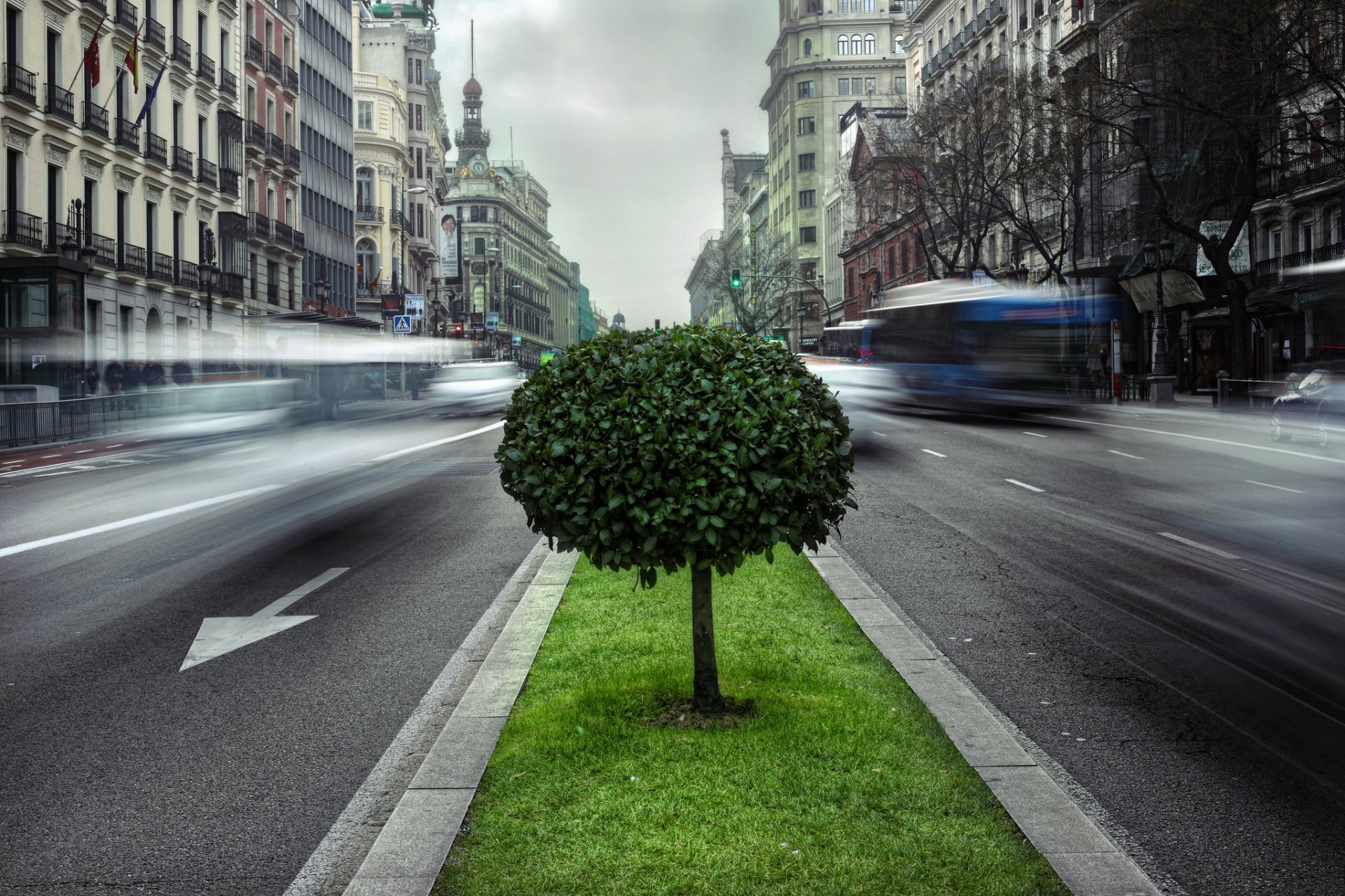 europa spanien stadt madrid straße straße belichtung autos autos bewegung baum grün didona mikhailov fotografieren