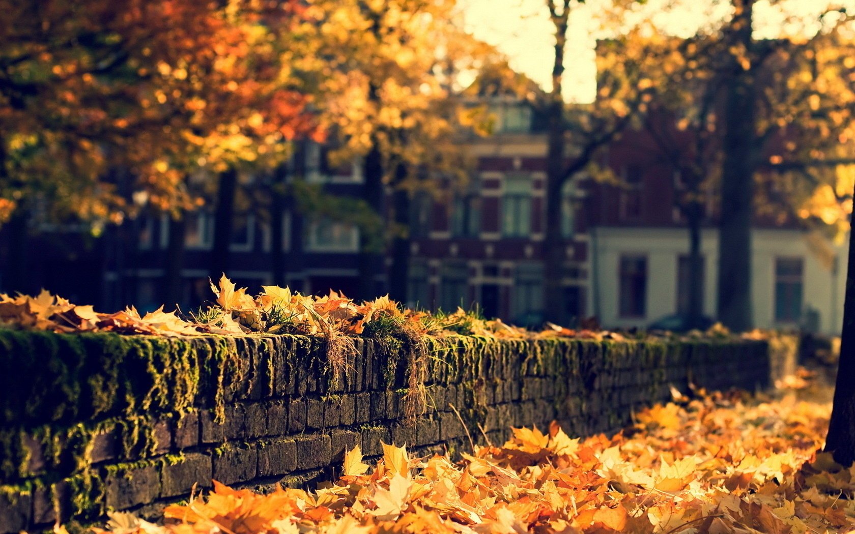 the city autumn street