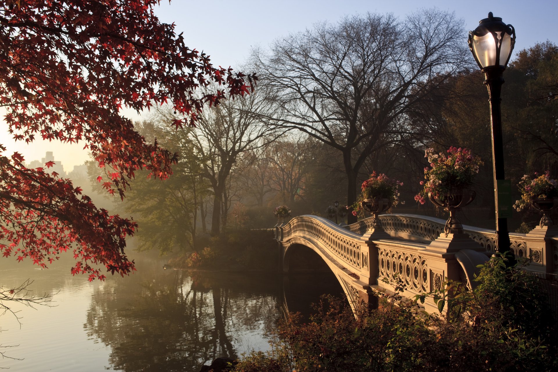 new york central park autunno albero alberi ponte lampione lampade natura paesaggio lago lanterna