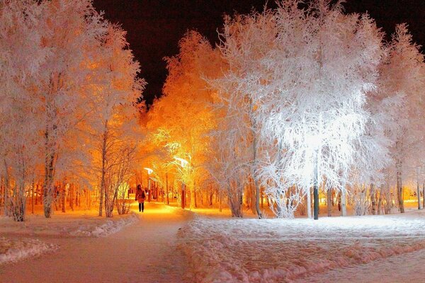 El callejón de invierno brilla a la luz de los fanes nocturnos