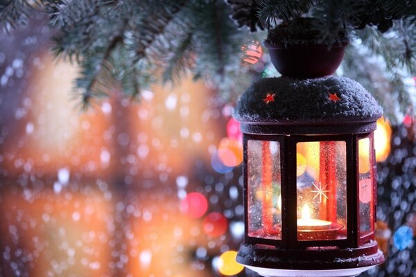 Lantern in a snow-covered spruce