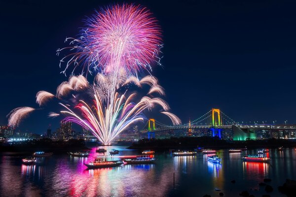 Nächtliches Feiertagsfeuerwerk in Tokio