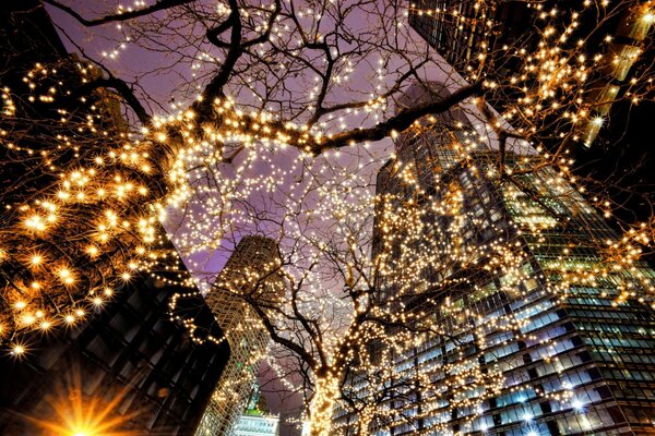 Alberi con ghirlande a Chicago