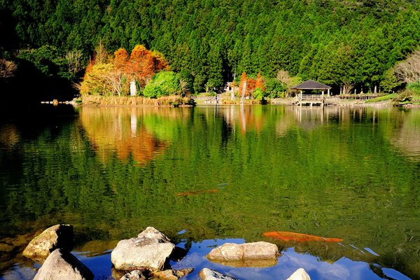 Bright autumn landscape, dense forest behind the lake, rocks