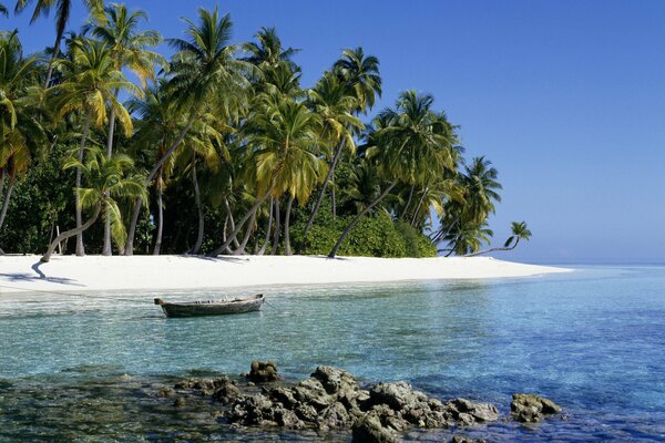 Un endroit paradisiaque océan indien