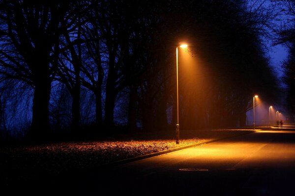 Parco cupo notturno in città