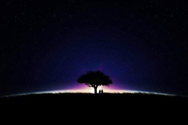 Couple à l arbre de la nuit étoilée