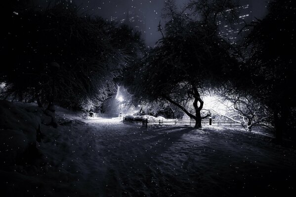 El nevado central Park de Manhattan