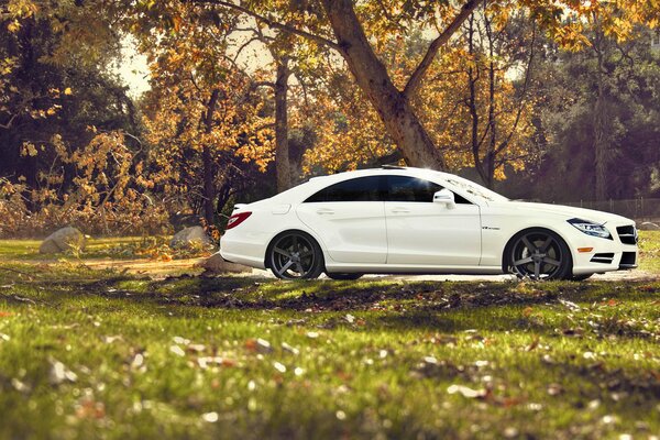 White Mercedes drives past trees